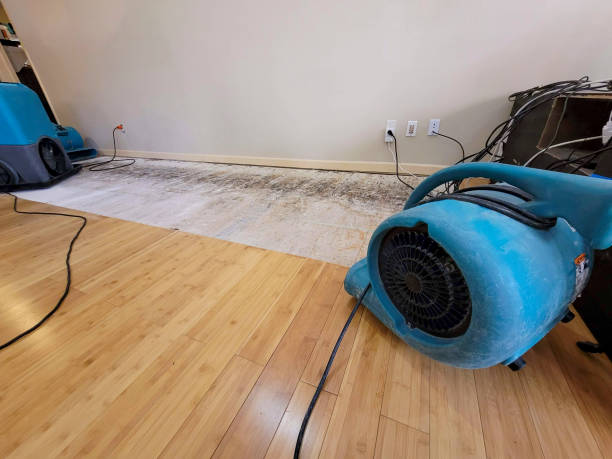 Professional Water Damage Repair technician working in Riverbank, CA